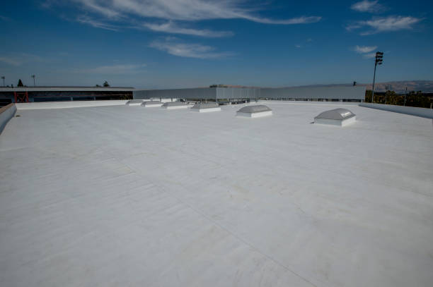 Best Roof Ventilation Installation  in Magnolia, TX