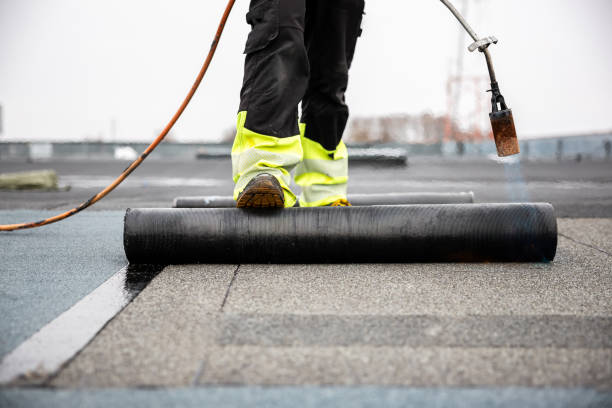 Best Roof Coating and Sealing  in Magnolia, TX