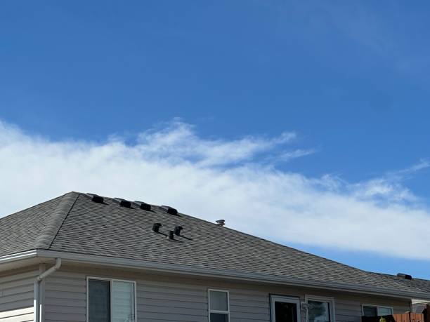 4 Ply Roofing in Magnolia, TX